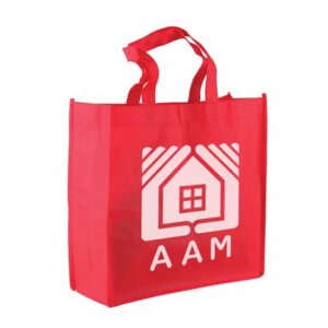 The Companion - 13" Non-woven Tote