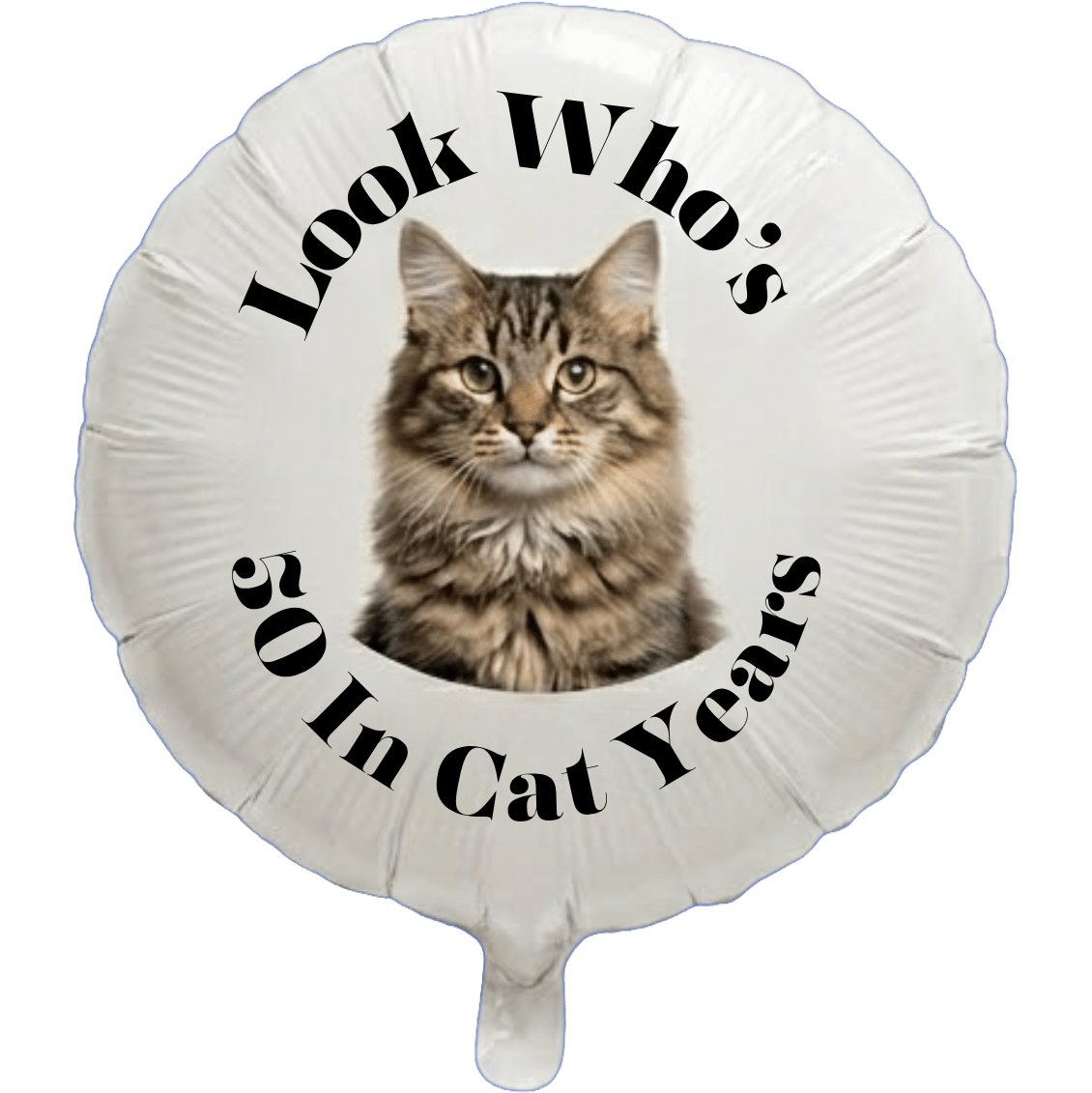 18in Pet Birthday Photo Balloons (Foil - Full Color) - Image 5