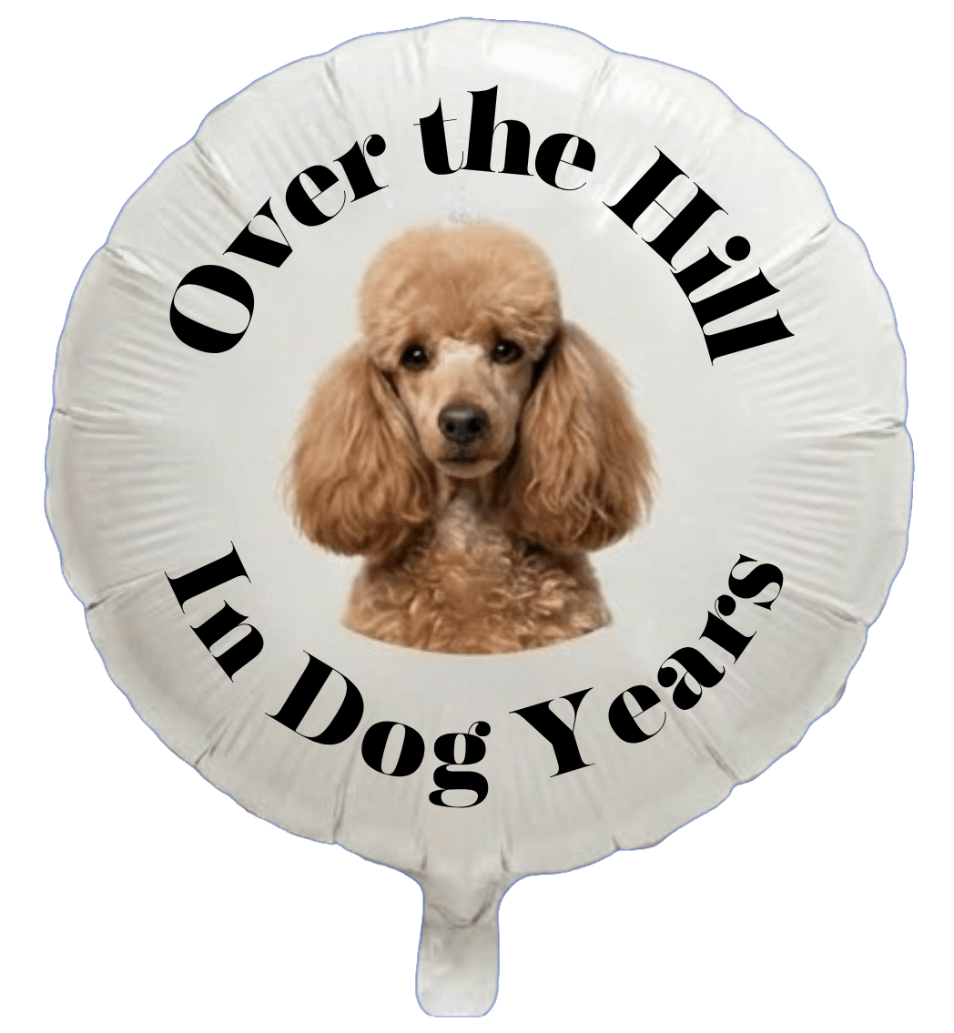 18in Pet Birthday Photo Balloons (Foil - Full Color) - Image 2