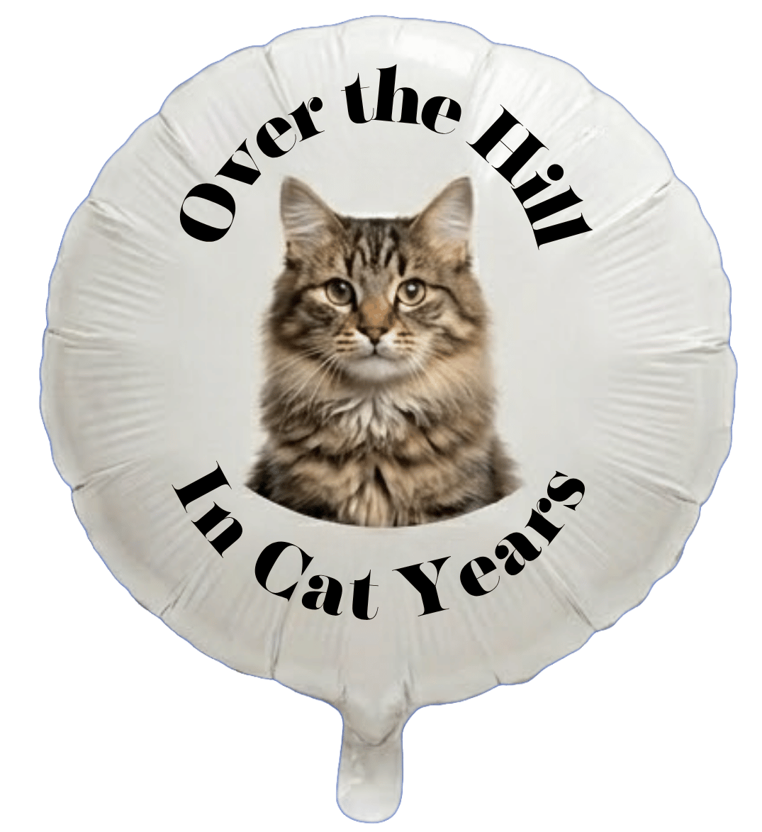 18in Pet Birthday Photo Balloons (Foil - Full Color) - Image 3