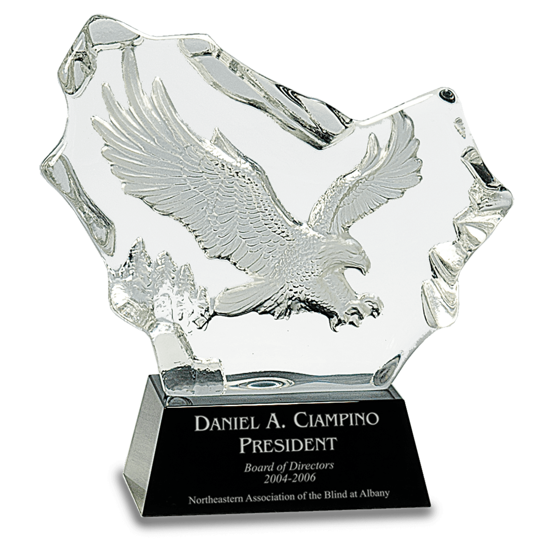 7 inch crystal award