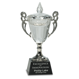 Awards: 8" Crystal Cup with Silver Handles and Stem